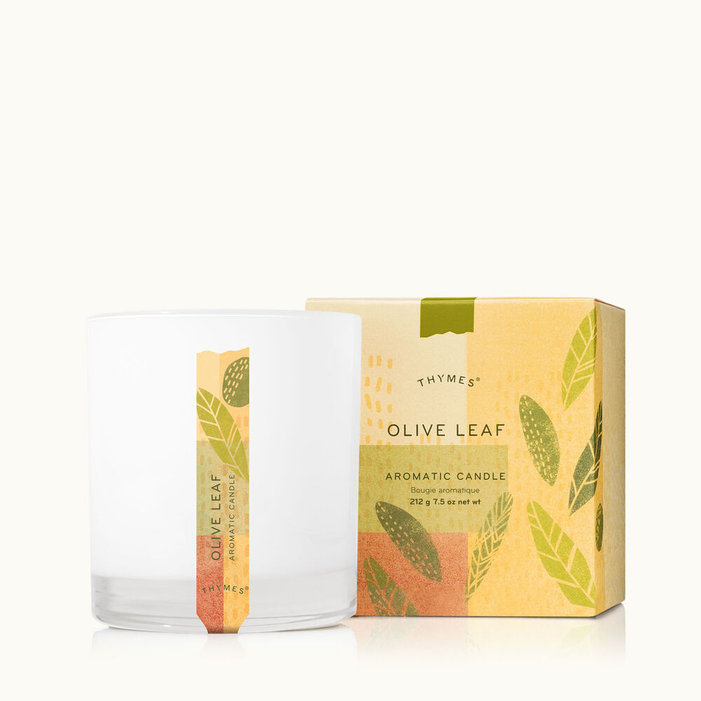 Thymes Olive Leaf Candle in Glossed Ceramic Jar image number 0